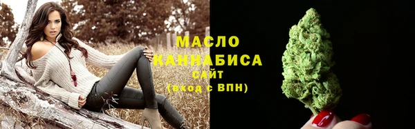 СК Вязьма