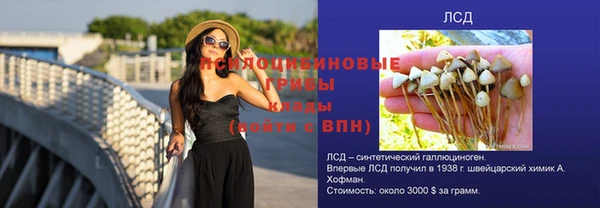 мяу мяу мука Горнозаводск