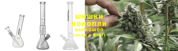 СК Вязьма