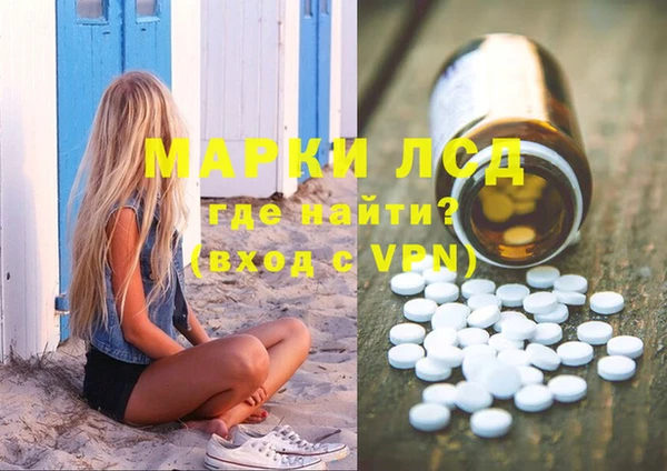 СК Вязьма