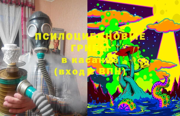 дживик Вязники