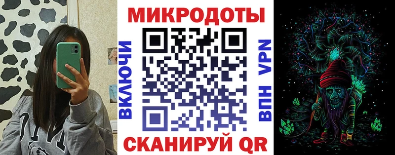 Псилоцибиновые грибы Psilocybine cubensis  Ефремов 